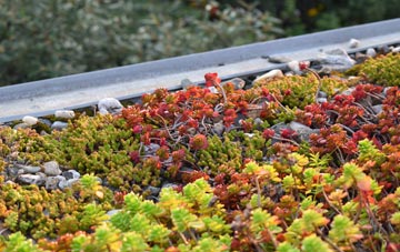 the cost of Freathy green roof installation