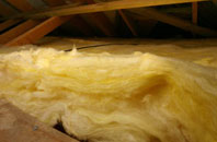 Freathy pitch roof insulation